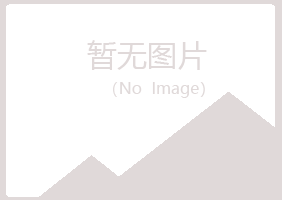 琼山区匆匆能源有限公司